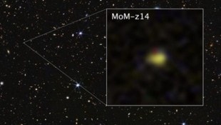 Die Galaxie MoM-z14 existierte bereits rund 280 Millionen Jahre nach dem Urknall.