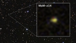 Die Galaxie MoM-z14 existierte bereits rund 280 Millionen Jahre nach dem Urknall.