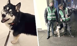 Die Helfer Chris und Jens brachten „Buba“ sofort in die Tierklinik.