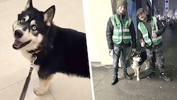 Die Helfer Chris und Jens brachten „Buba“ sofort in die Tierklinik.