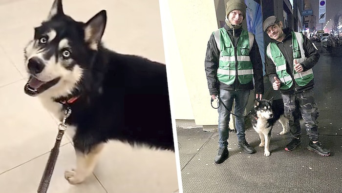 Die Helfer Chris und Jens brachten „Buba“ sofort in die Tierklinik.