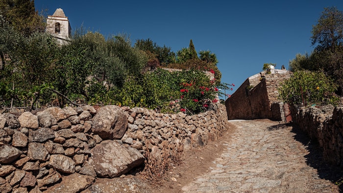 Lollovers Village Experience