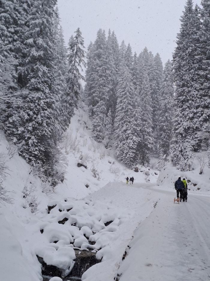 Auf der Uga-Runde dem Krumbach entlang.