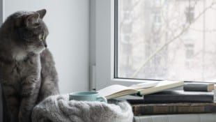 Kaum bis gar keine Sonne – trübe Aussichten im Osten des Landes (Symbolbild)