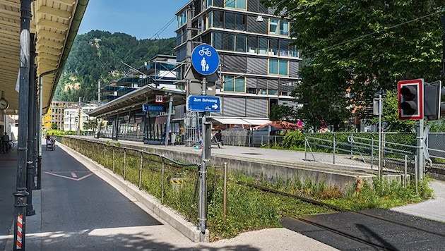 Täglich nutzen über 4000 Fahrgäste den Bahnhof Bregenz-Hafen.