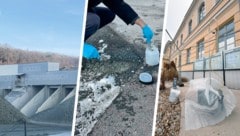 Vier Steinbrüche, darunter jener in Badersdorf, wurden Anfang Jänner wegen zu hoher Asbestwerte ...