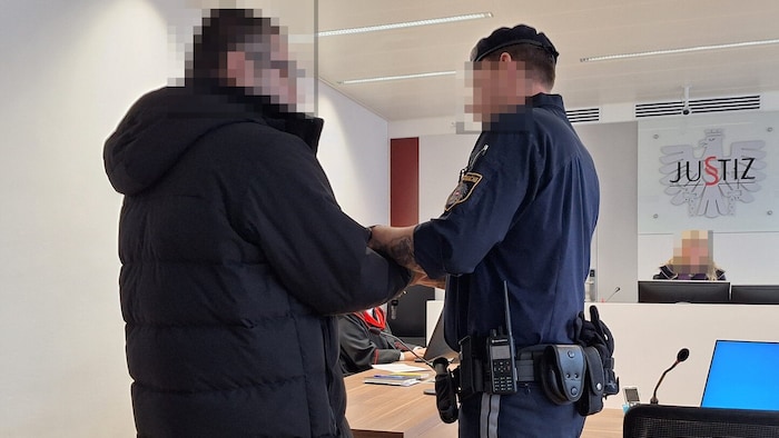 Der neunfach einschlägig vorbestrafte Pickerl-Kleber wurde aus der U-Haft vorgeführt.