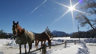 Am Wochenende sollten zumindest einige Sonnenstunden drin sein – ideal für einen Ausflug in die ...
