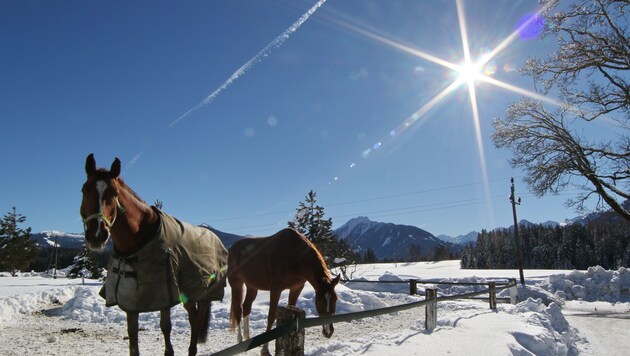 Am Wochenende sollten zumindest einige Sonnenstunden drin sein – ideal für einen Ausflug in die ...