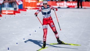 Wird Katharina Gruber das TopTalent 2026?