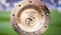 Der Kampf um den Teller nimmt wieder Fahrt auf. 