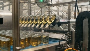 Im Bezirk Eisenstadt-Umgebung werden pro Jahr drei Millionen Liter Sekt produziert.