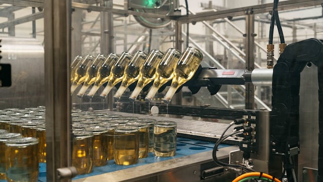 Im Bezirk Eisenstadt-Umgebung werden pro Jahr drei Millionen Liter Sekt produziert.