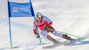 Paraski-Ass Johannes Aigner sicherte sich in Tignes die Kristallkugel in der Abfahrt.