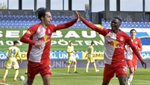 Ex-Salzburger Albert Vallci soll nach Graz zu Sturm kommen.