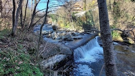 Die „Urforelle“ lebt im Radlbach – und soll es auch in Zukunft. 57 km Flusslauf bekommt sie ...