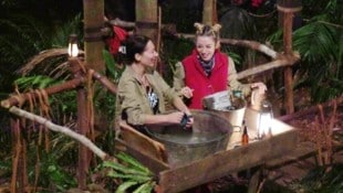 Ariel machte am Freitag eine recht unappetitliche Beichte im Dschungelcamp – und flog danach ...