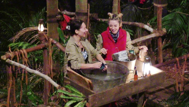 Ariel machte am Freitag eine recht unappetitliche Beichte im Dschungelcamp – und flog danach ...