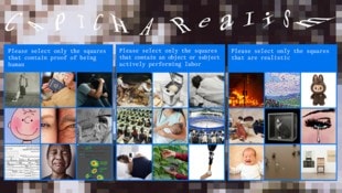 Kommt Ihnen das bekannt vor? Im Internet müssen solche Rätsel oft gelöst werden.