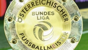 Das Objekt der Begierde einiger der im Wintertransfer-Fenster aktiven Bundesliga-Klubs – die ...