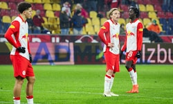 Die Spieler von Red Bull Salzburg waren nach dem Spiel bedient. 