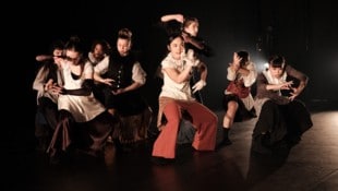 IDA – der Fachbereich Tanz der Bruckneruni mit internationaler Ausrichtung – präsentiert sich ...