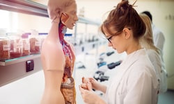 Medizin ist eines der beliebtesten Fächer bei angehenden Studierenden.