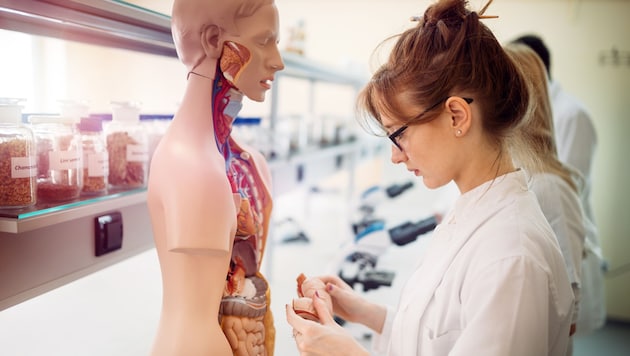 Der Mensch und sein Körper: Ein hoch spannendes, enorm großes Wissensfeld, das rund 300 ...