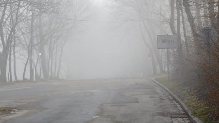 Despite the fog and cold, experts advise the Viennese to get outside as much as possible!