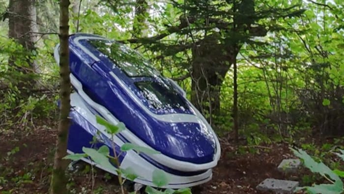 Der erste Einsatz der Suizid-Kapsel fand in einem Wald in der Schweiz statt.