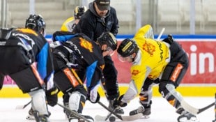 Die Vienna Capitals bringen am Mittwoch die Eisarena in Mödling zum Glühen.