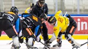 Die Vienna Capitals bringen am Mittwoch die Eisarena in Mödling zum Glühen.