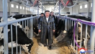 Bei der Eröffnung eines Milchviehbetriebs spazierte Nordkoreas Führer durch einen Kuhstall.