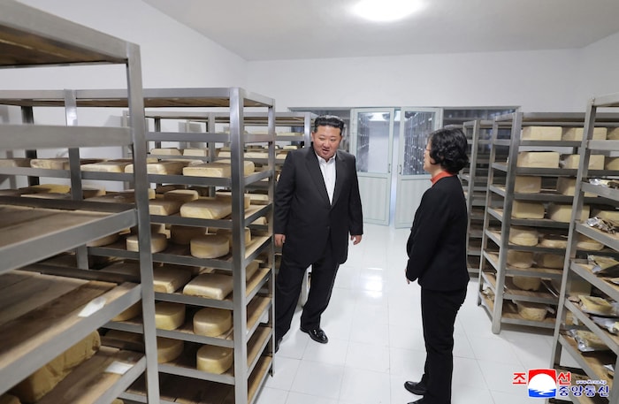 Kim inspizierte auch den Käse.