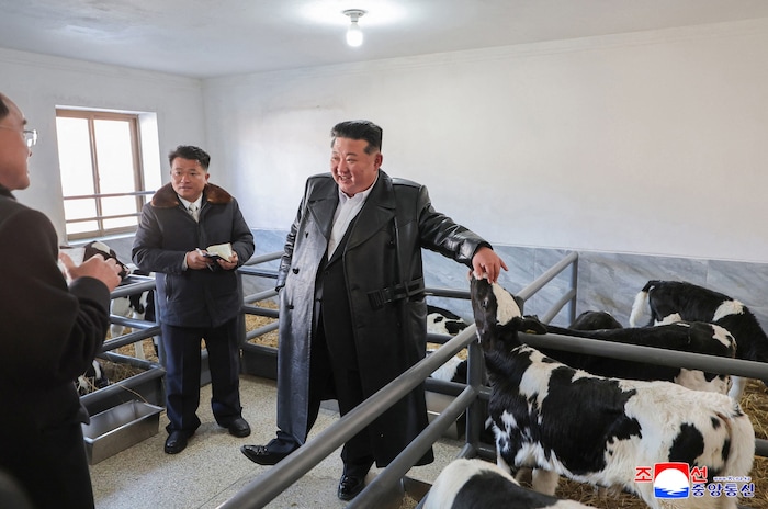 Kim freundete sich mit einem Kalb an.