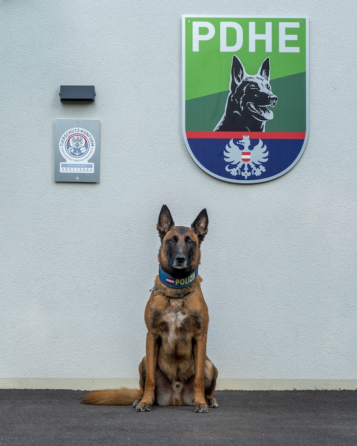 Dank „Loris“ ist die Pensionistin wieder wohlauf bei ihrem Sohn.