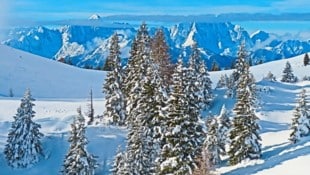 Eine wahre Winterwunderlandschaft