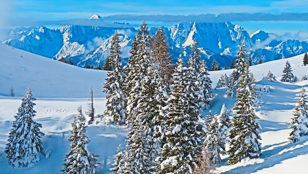 Eine wahre Winterwunderlandschaft