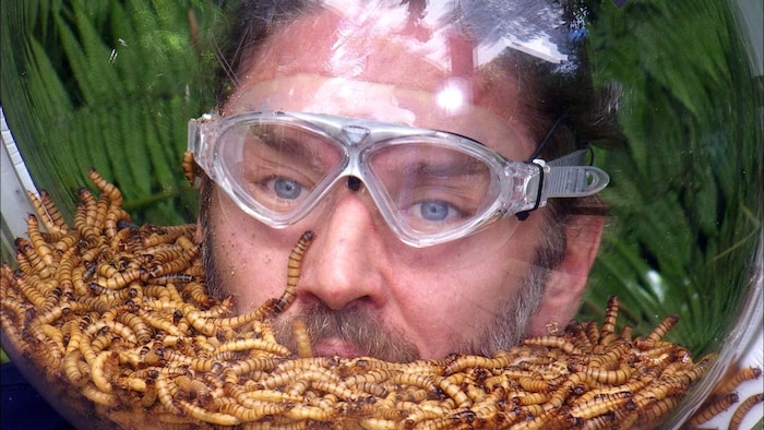 Gil bekam Helme aufgesetzt und musste diese mit allerlei Getier teilen.