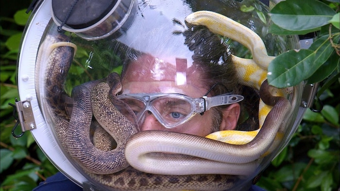 Doch selbst die Schlangen konnten dem Sänger nichts anhaben.