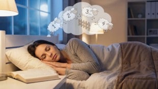 Was man tun kann, wenn man schon das 200. Schäfchen gezählt hat und noch immer munter ist.