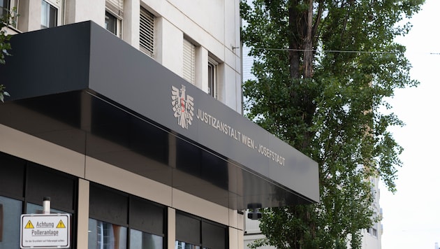 Die 32-jährige Gattin eines Wiener Rechtsanwalts sitzt aktuell in U-Haft.