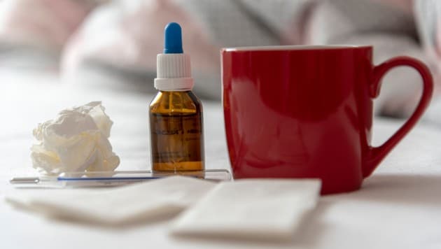 Derzeit sind in Salzburg viele Infekte auf dem Vormarsch – von Influenza bis hin zu Covid.