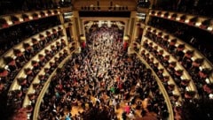 Die dieswöchigen Kasperln fanden sich alle beim heurigen Staatsgewalze ein.