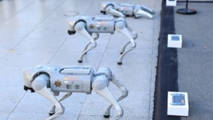 Die Roboter-Hunde sollen Polizeibeamte bei Einsätzen unterstützen.