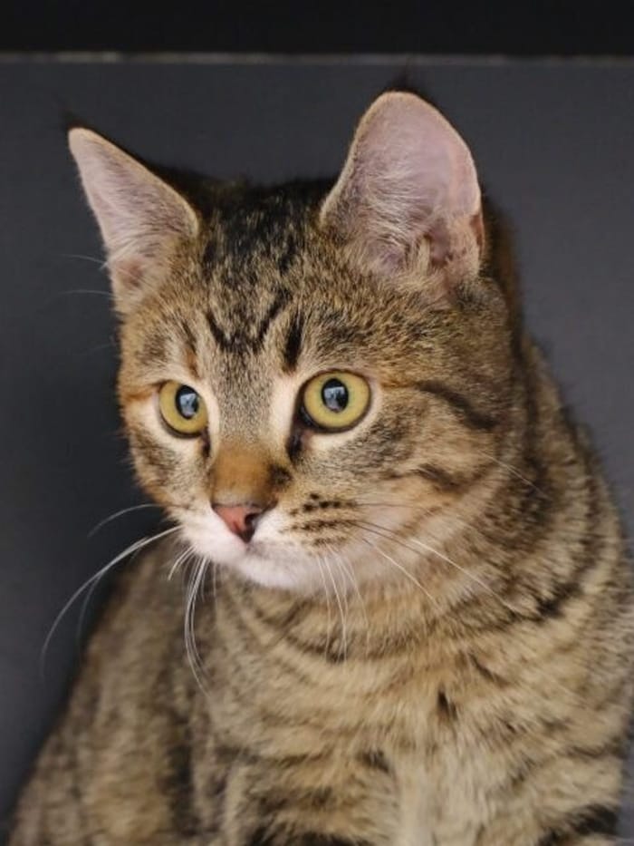 Nimmt mich jemand gemeinsam mit Rosalie?