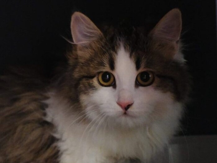 Ich mag nicht alleine sein!