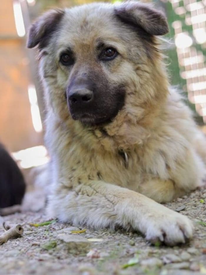 Wessen Herz darf Zita erobern?
