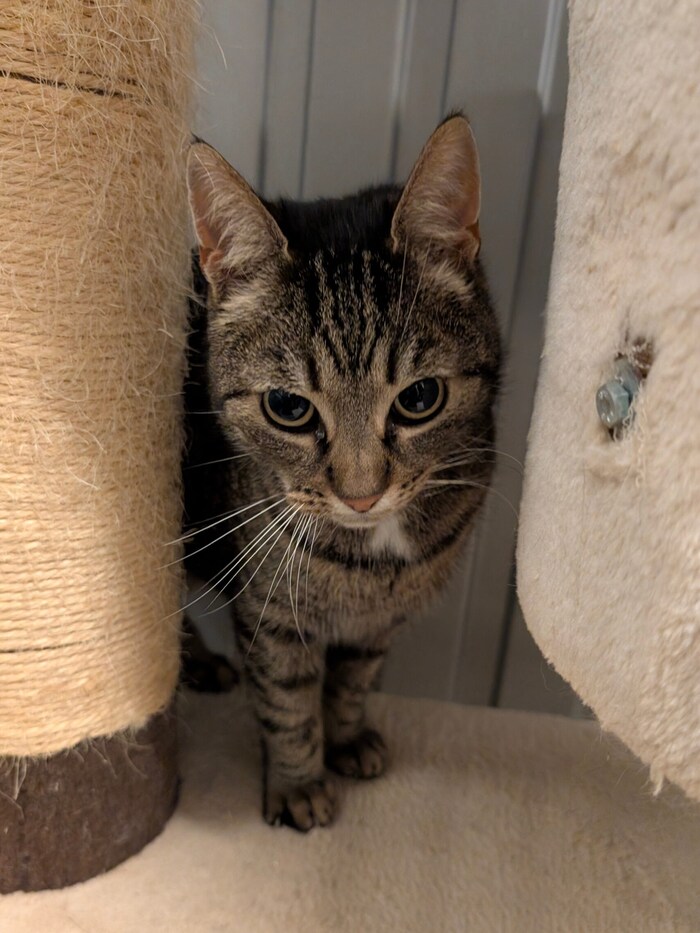 Zuhause mit Garten erbeten