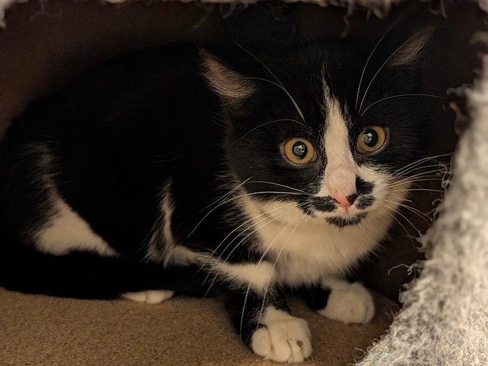 Wer hat noch Geduld mit Stacy?